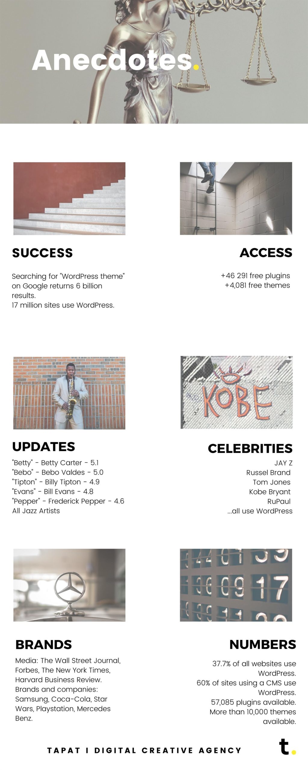 Wordpress infographic 051 anecodotes - tapat creative agency